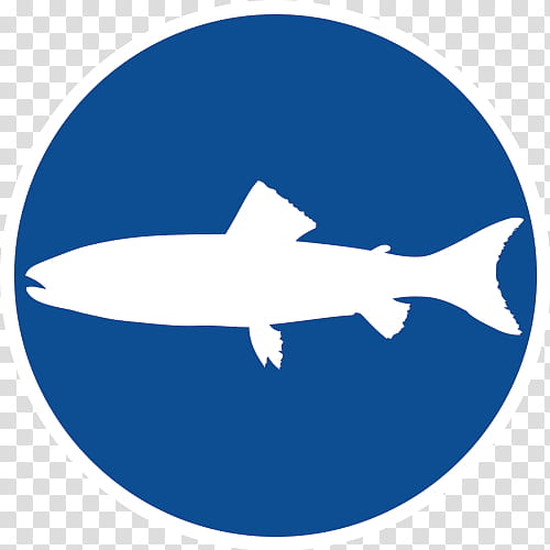 Shark Fin, Traffic Sign, August 27, Driving, User, History, Fish, Cartilaginous Fish transparent background PNG clipart