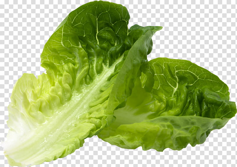 Green Leaf, Hamburger, Romaine Lettuce, Greens, BLT, Food, Iceberg Lettuce, Salad transparent background PNG clipart