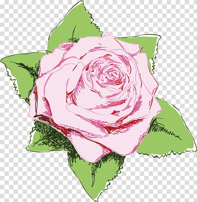 one flower one rose valentines day, Love, Garden Roses, Pink, Hybrid Tea Rose, Rose Family, Petal, Plant transparent background PNG clipart