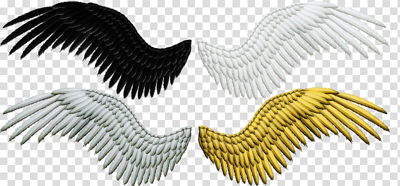 Feathered Wings, four assorted-color angel wings illustration transparent background PNG clipart