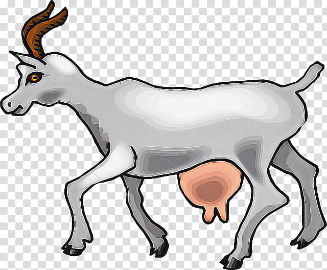 goats cow-goat family animal figure wildlife antelope, Cowgoat Family, Line Art, Snout, Goatantelope, Chamois, Tail, Bovine transparent background PNG clipart