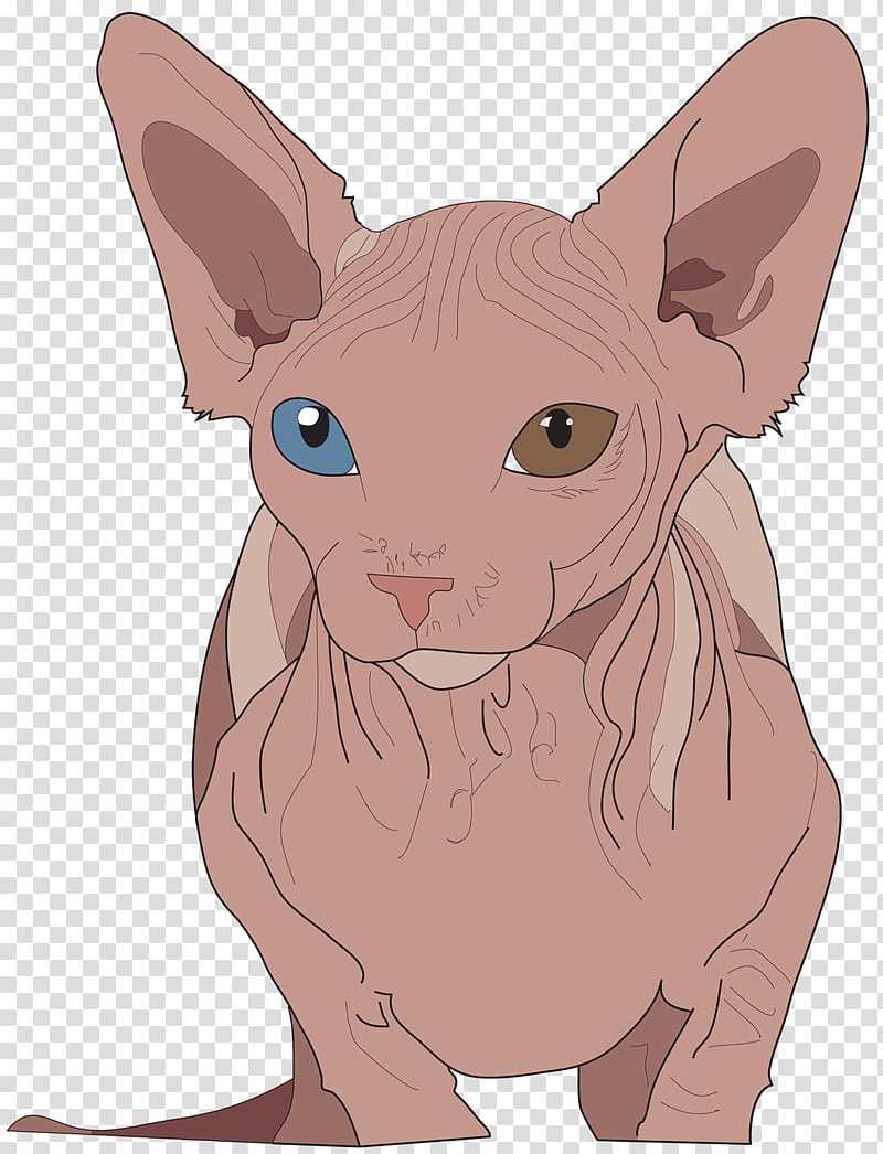 Cat, Sphynx Cat, Donskoy, Peterbald, Whiskers, Paw, Line Art, Cartoon transparent background PNG clipart