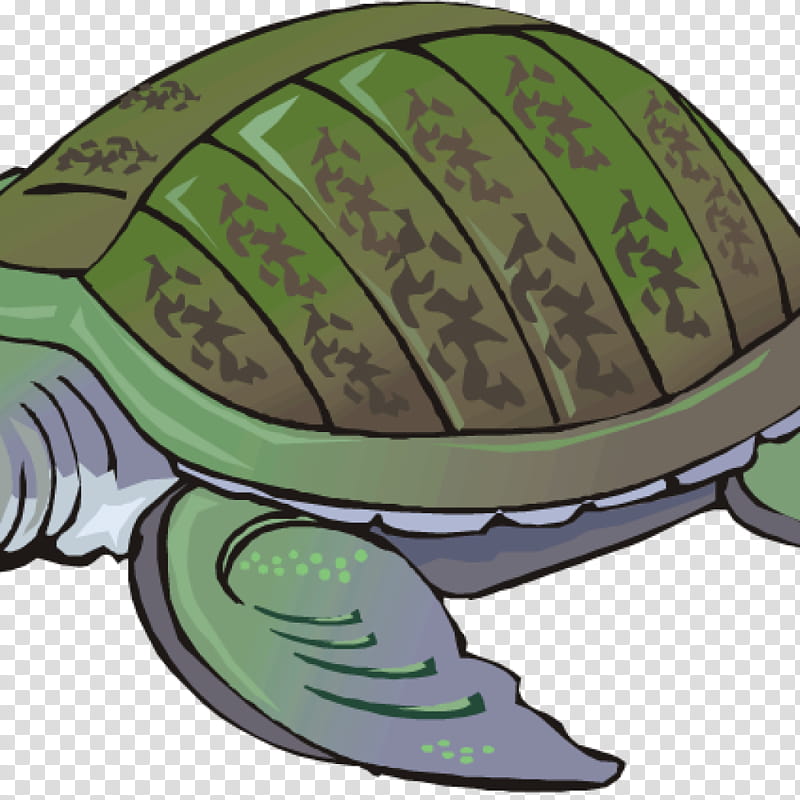 Turtle Shell transparent background PNG cliparts free download | HiClipart