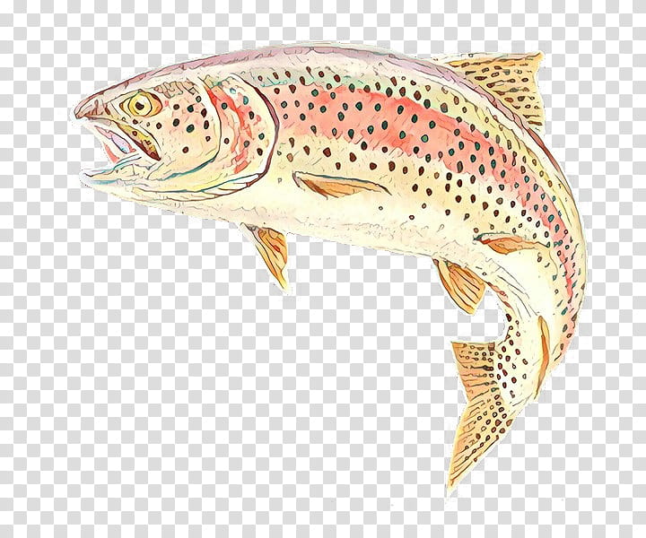 brown trout fish trout fish cutthroat trout, Salmonlike Fish, Coastal Cutthroat Trout, Bonyfish transparent background PNG clipart