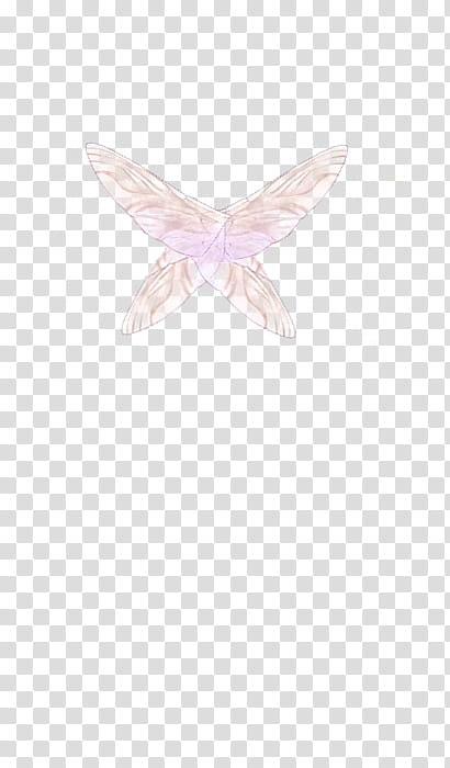 CDM HADAS, pink transparent background PNG clipart