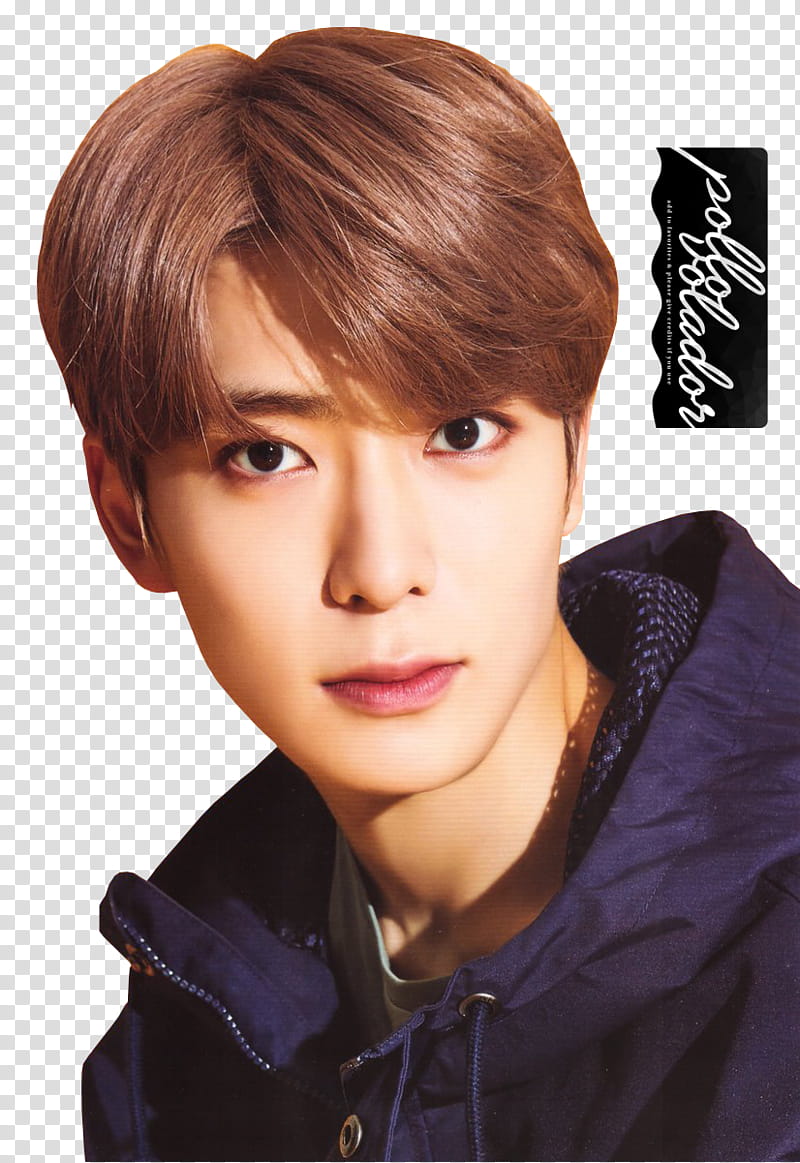 NCT Season Greetings  part, man in purple top transparent background PNG clipart