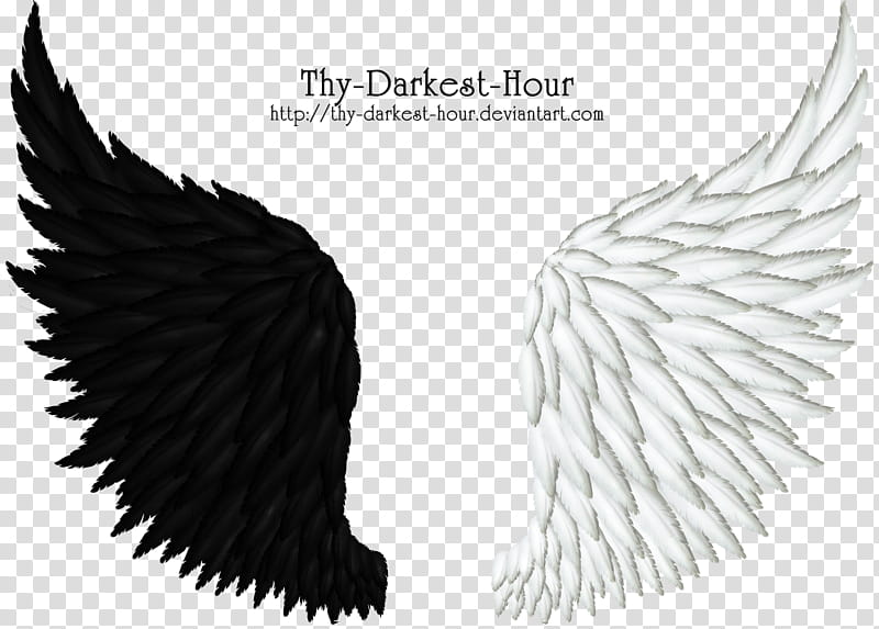 Black White Feathered Wings, two black and white wings transparent background PNG clipart