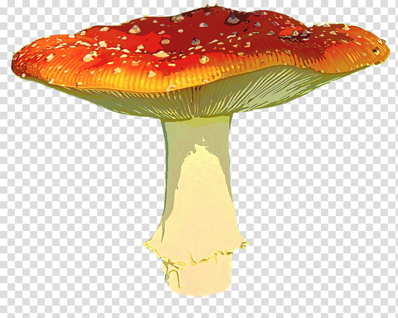 Mushroom, Fly Agaric, Fungus, Amanita, Orange, Medicinal Mushroom, Table transparent background PNG clipart