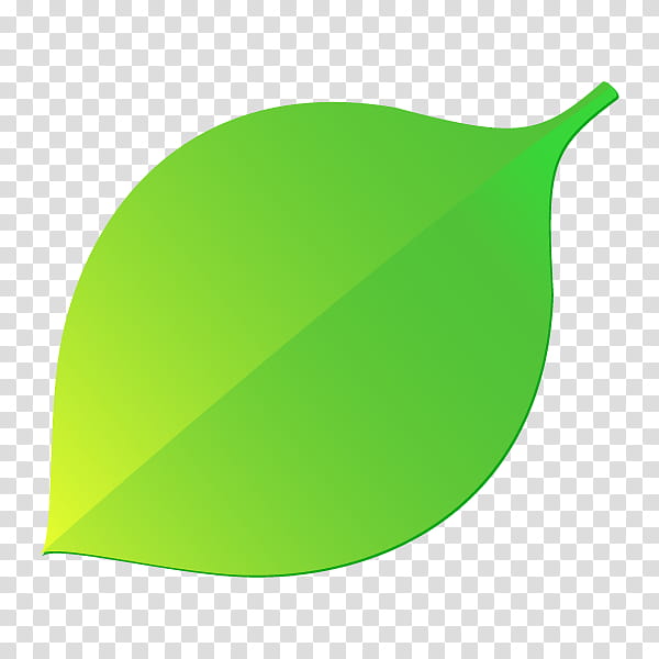 Green Grass, Leaf, Branch, Plants, Color Gradient, Computer Graphics transparent background PNG clipart
