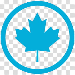 Metrostation Maple Leaf Icon Transparent Background Png Clipart Hiclipart