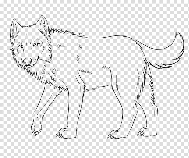 FREE WOLF LINEART, standing wolf sketch transparent background PNG clipart