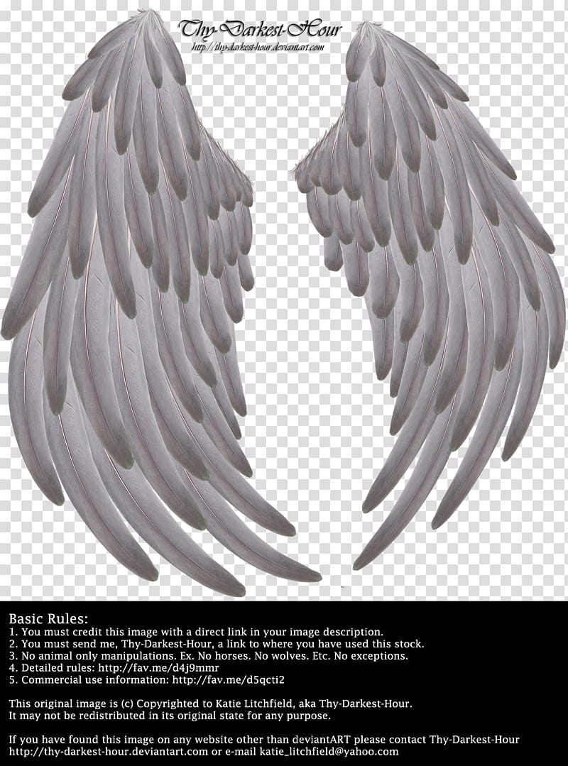 Solace Wings Silver transparent background PNG clipart