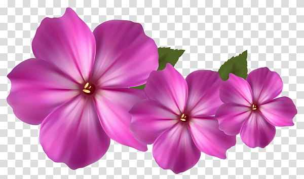 NATURE S ARCHIVES, three purple flowers transparent background PNG clipart