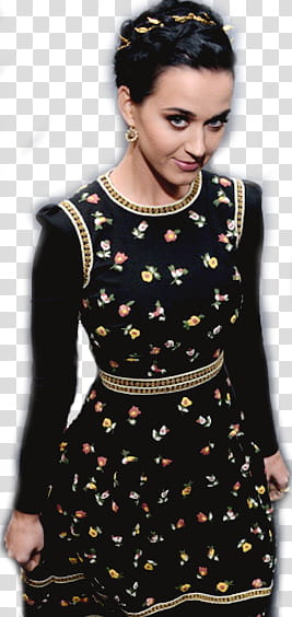 Katy Perry People Choice Awards   transparent background PNG clipart
