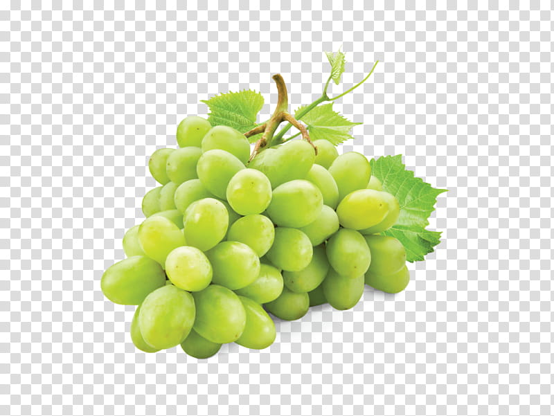 Fresh Juice, White Wine, Sultana, Grape, Pinot Blanc, Verjuice, Red Wine, Fresh Green Grapes transparent background PNG clipart