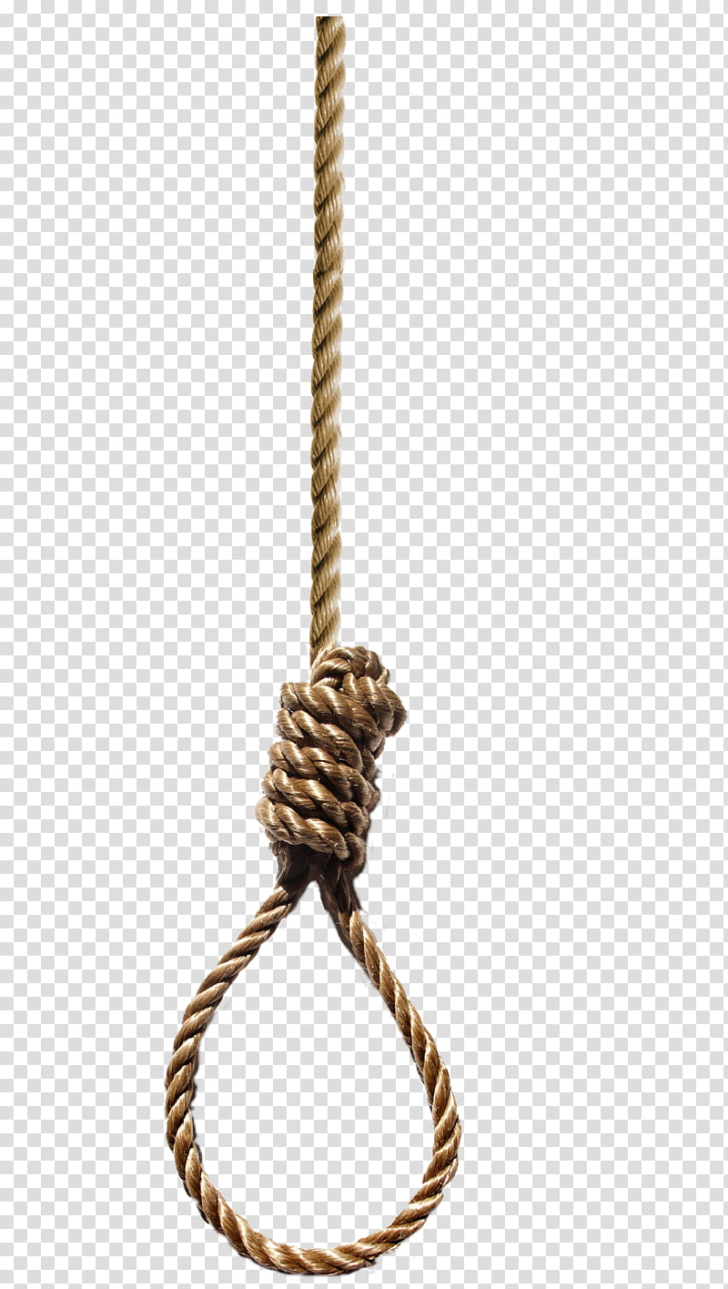 Hangmans Noose, brown rope transparent background PNG clipart