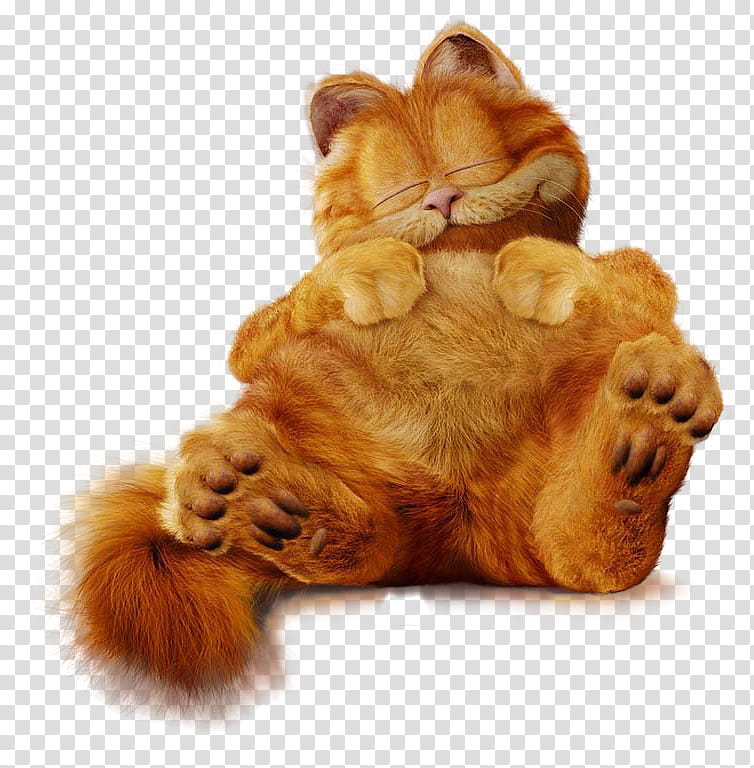 Garfield character transparent background PNG clipart