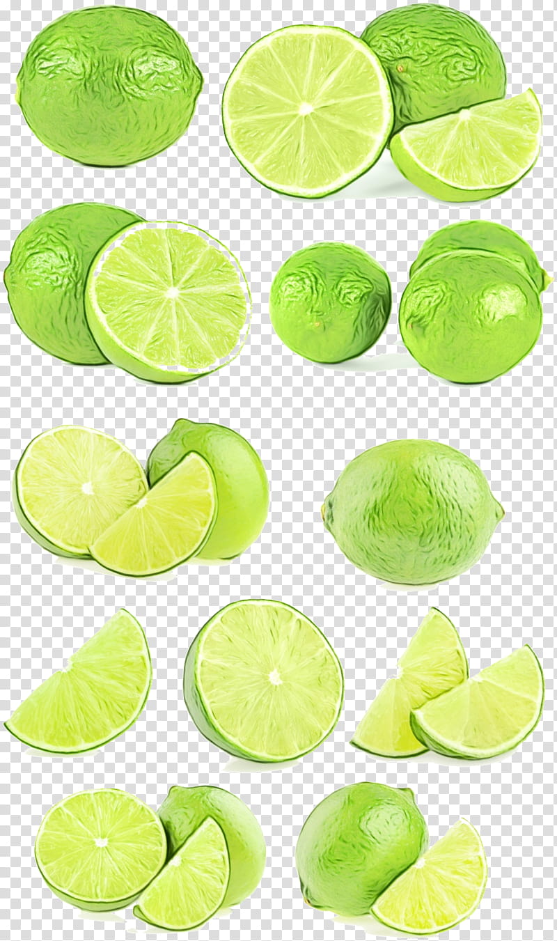 lime key lime green persian lime sweet lemon, Watercolor, Paint, Wet Ink, Citrus, Food, Plant, Fruit transparent background PNG clipart