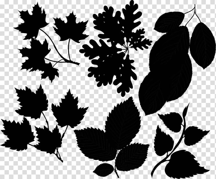 Tree Stencil, Flower, Fruit, Leaf, Pollinator, Plants, Black M, Blackandwhite transparent background PNG clipart