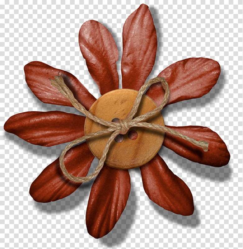 Frangipani Flower, Button, Creativity, Blog, User Interface Design, Petal, Plant transparent background PNG clipart