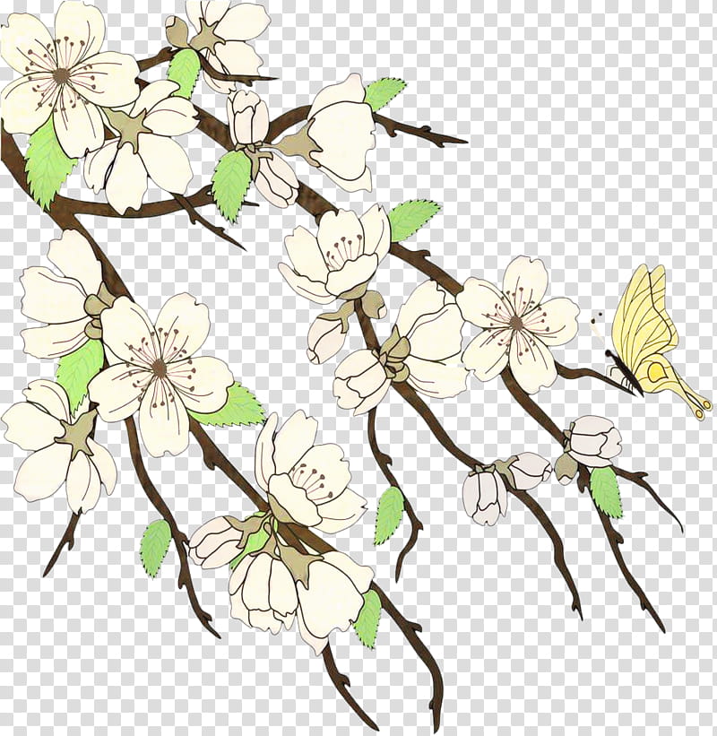 Flower Line Art, Cherry Blossom, Drawing, White, Plant, Branch, Twig, Pedicel transparent background PNG clipart