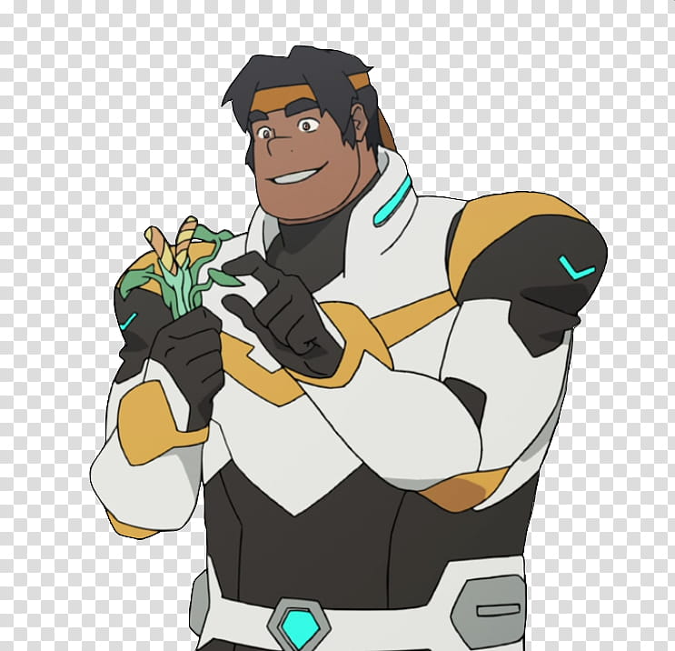 Princess, Hunk, Pidge, Lance, Keith, Princess Allura, Voltron, Coran transparent background PNG clipart