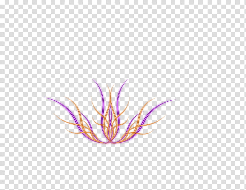 Rize Flowers, purple and orange leaf illustration transparent background PNG clipart