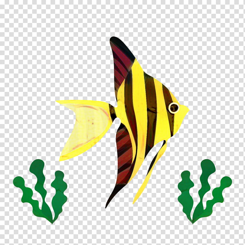 Coral Reef, Fish, Guppy, Tropical Fish, Butterfly, Freshwater Angelfish, Logo, Drawing transparent background PNG clipart