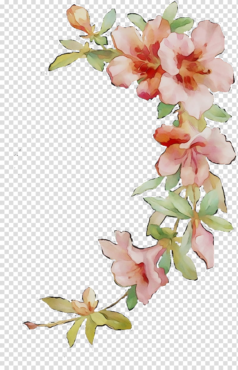 Pink Flower, Floral Design, Cut Flowers, Plant Stem, Artificial Flower, Plants, Vsco, Allegro transparent background PNG clipart