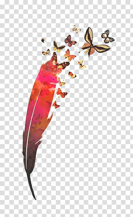 Super , feather and butterflies illustration transparent background PNG clipart