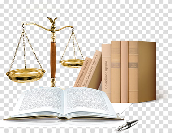 Person, Lawyer, Jurist, Legal Advice, Practice Of Law, Juridical Person, Law Firm, Advocate transparent background PNG clipart