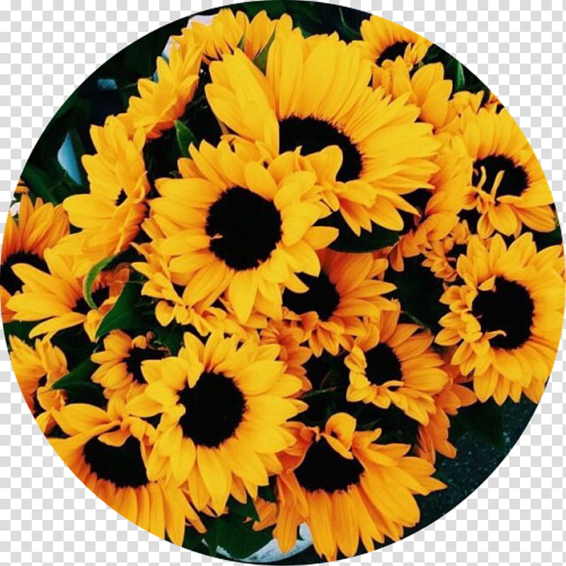 Bouquet Of Flowers Drawing, Youtube, Painting, Collage, Musically, Floral Design, Wreath, Sunflower transparent background PNG clipart