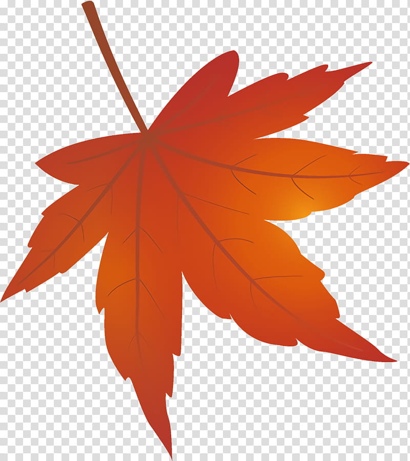 maple leaf autumn leaf yellow leaf, Tree, Red, Orange, Woody Plant, Black Maple, Sweet Gum transparent background PNG clipart