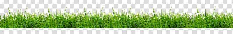 Floating Terrain Mountain  Bonus, green grass transparent background PNG clipart