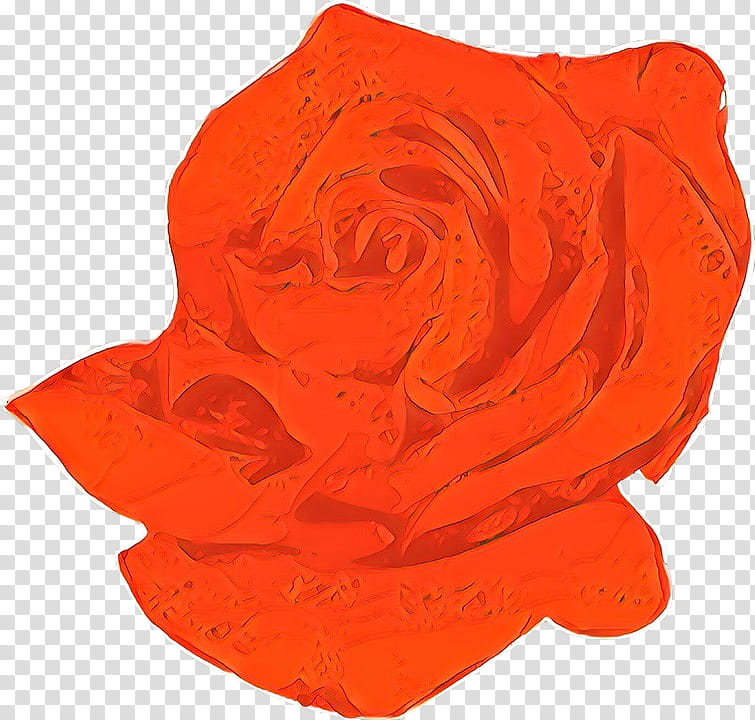 Garden roses, Cartoon, Orange, Red, Petal, Plant, Flower, Rose Family transparent background PNG clipart