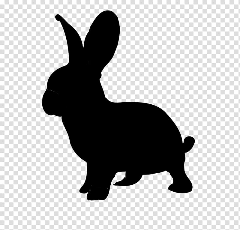 Rabbit, Puppy, Hare, Dog, White Rabbit, Alices Adventures In Wonderland, Alice Madness Returns, Breed transparent background PNG clipart
