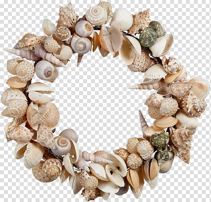 Christmas decoration, Wreath, Jewellery, Shell, Beige, Bracelet, Pearl, Necklace transparent background PNG clipart