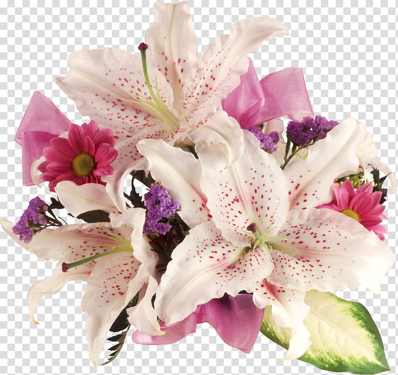 Lily Flower, Flower Bouquet, Music, RAR, Cut Flowers, Pink, Petal, Plant transparent background PNG clipart