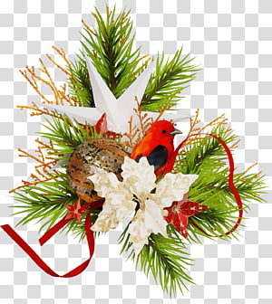 plant tree branch pine colorado spruce, Christmas Ornaments, Christmas Decoration, Christmas 
, Watercolor, Paint, Wet Ink, Oregon Pine transparent background PNG clipart thumbnail