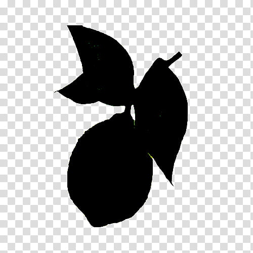 leaf plant black-and-white tree silhouette, Blackandwhite, Monochrome , Logo, Fruit transparent background PNG clipart
