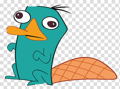 Perry the platypus transparent background PNG clipart