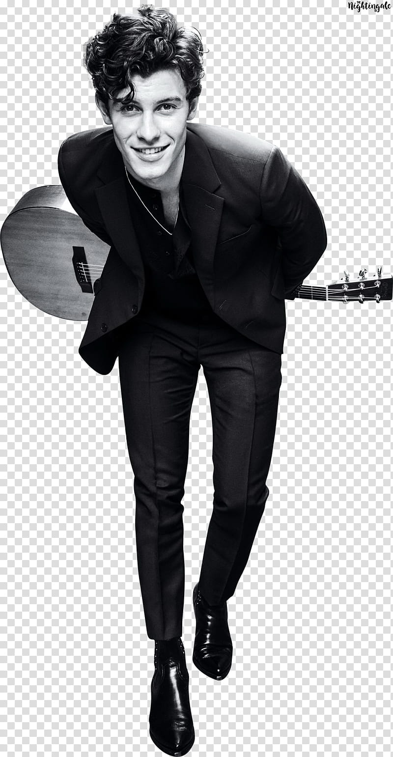 Shawn Mendes transparent background PNG clipart