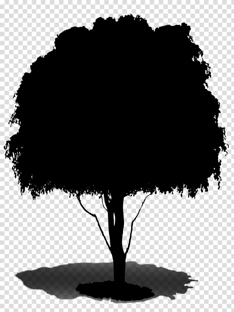 Cartoon Nature, Landscape, Tree, Pond, Silhouette, Outdoor, Computer, Water transparent background PNG clipart