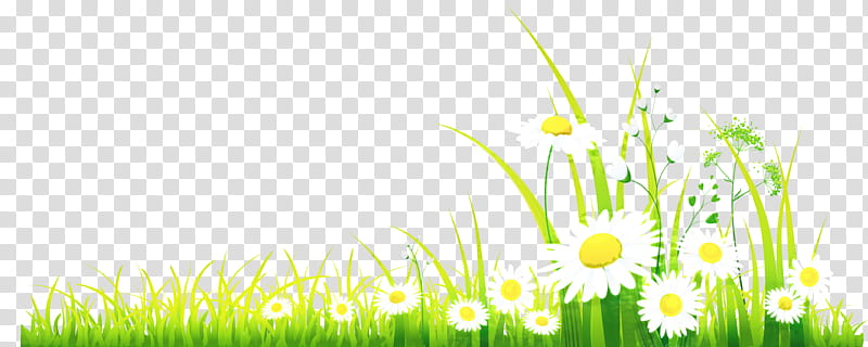 Green Grass, Spring
, Document, Email, April Shower, Web Design, People In Nature, Meadow transparent background PNG clipart