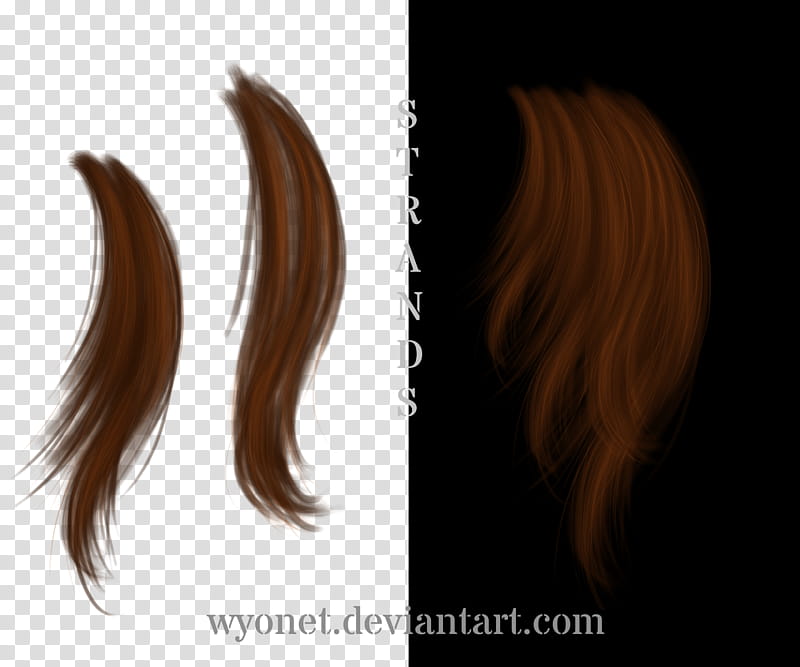 Hair strands, brown hair illustration transparent background PNG