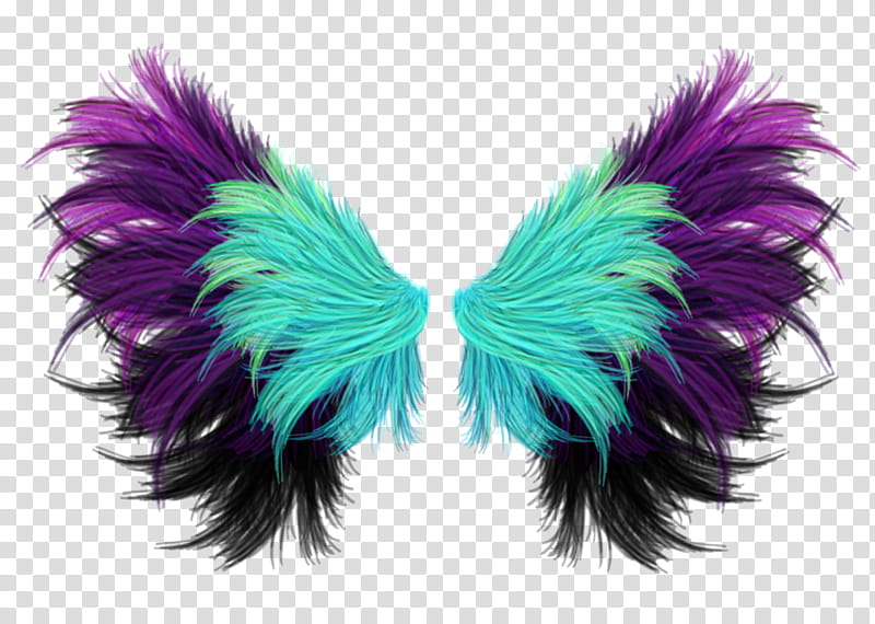 PART Material, purple-and-green wings illustration transparent background PNG clipart
