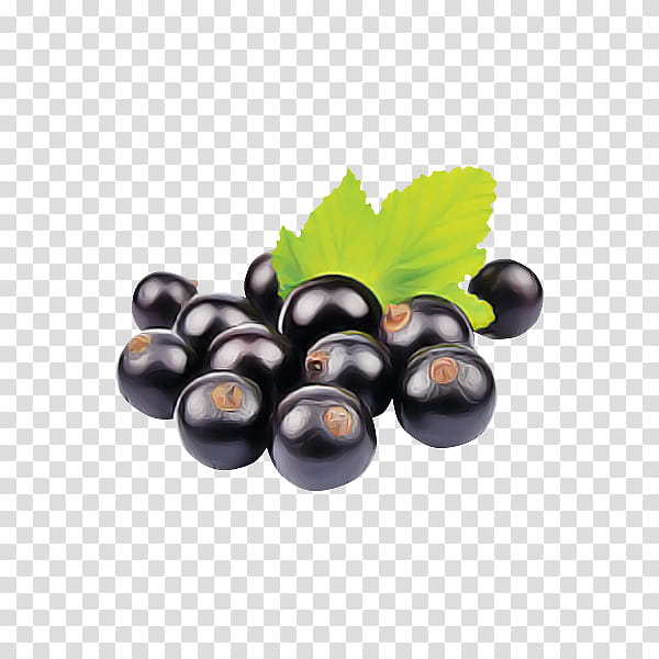 grape fruit berry plant grapevine family, Superfood, Leaf, Vitis, Bilberry transparent background PNG clipart