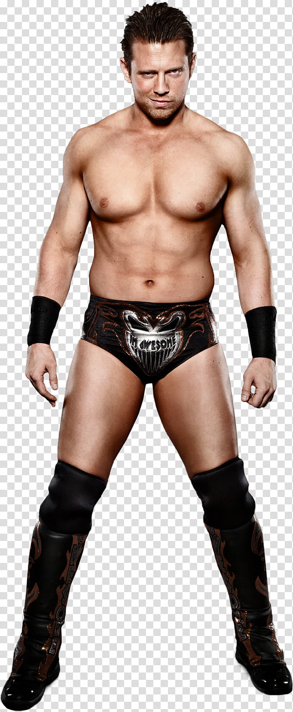 The Miz  Stats transparent background PNG clipart