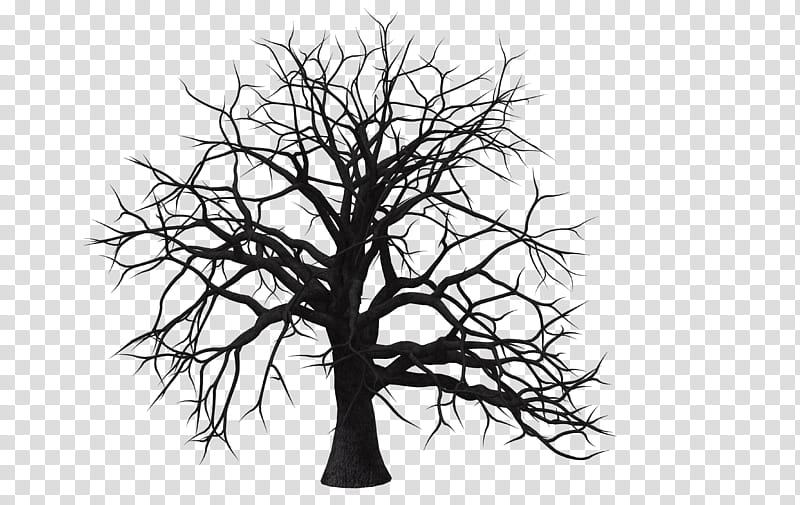 Tree , black bare tree illustration transparent background PNG clipart