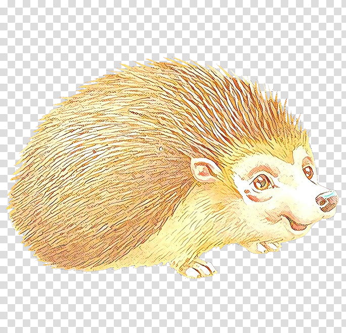 hedgehog porcupine new world porcupine erinaceidae domesticated hedgehog, Cartoon transparent background PNG clipart